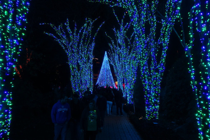 Christmas Light Exhibition at  the Atlanta Botanical Garden