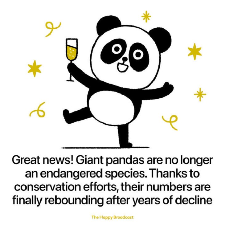 Illustrated Good News Stories, pandas