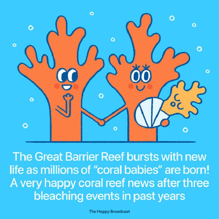 Illustrated Good News Stories, great barrier reef
