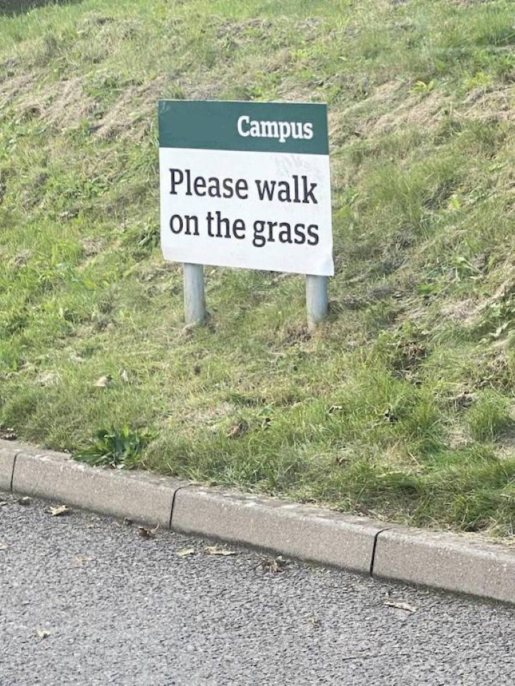 Funny Signs walk on grass