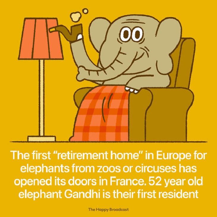 Illustrated Good News Stories, elephants