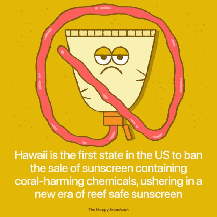 Illustrated Good News Stories, hawaii, sunscreen