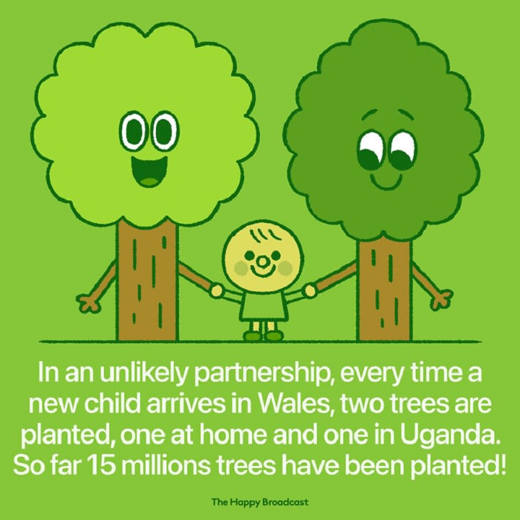 Illustrated Good News Stories, trees