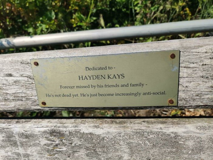 Unexpected Finds bench plaque