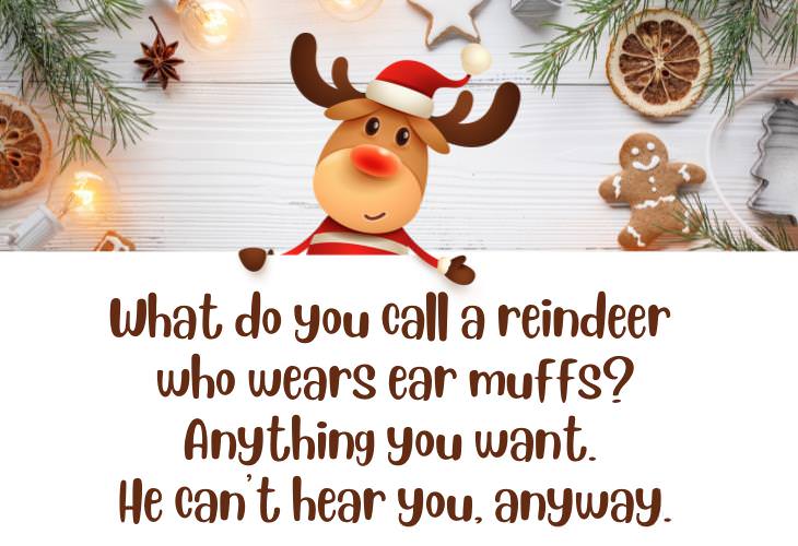 Christmas Jokes & Puns, reindeer
