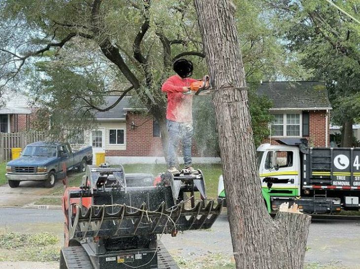 Safety Fails, cutting tree
