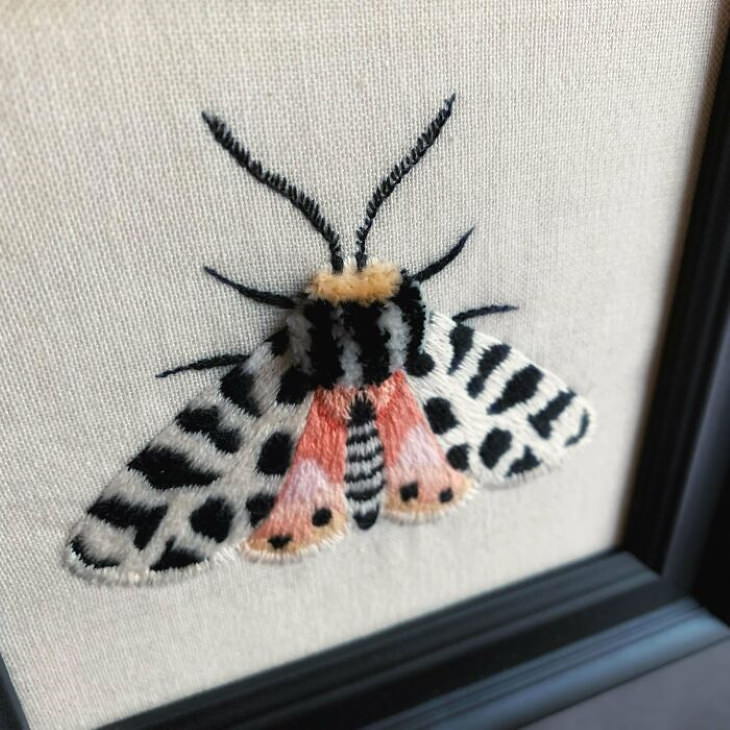 Embroideries moth