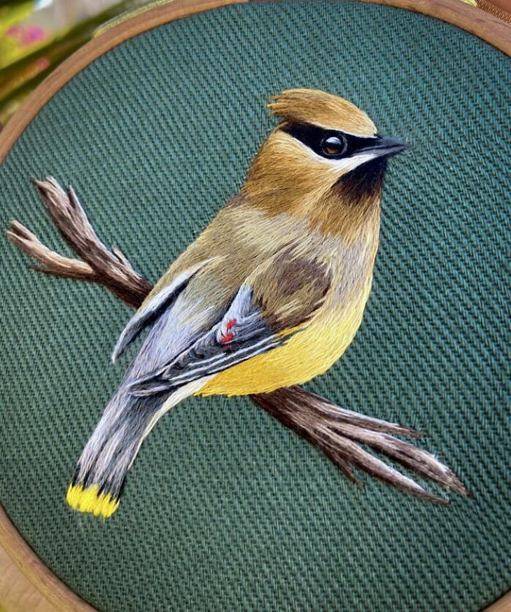 Embroideries Cedar Waxwing