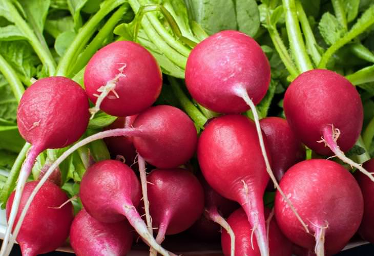 Healthy Root Vegetables,  Radishes