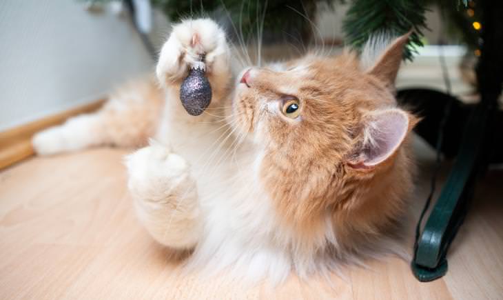 cat playing with Christmas tree
