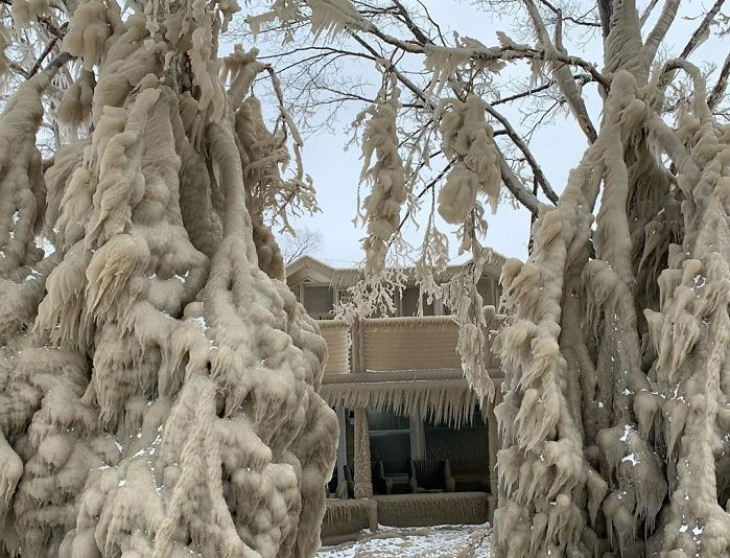 Lake Erie tree Covered in ice