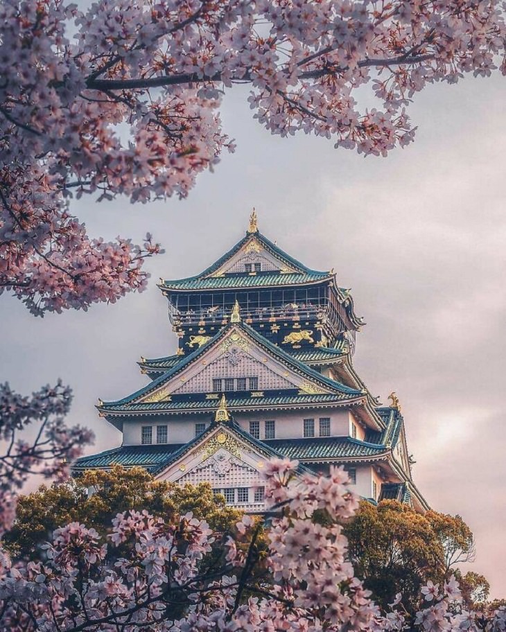 Breathtaking Structures, Osaka Castle, Osaka, Japan