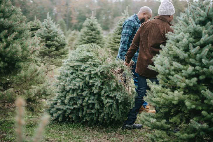 Lesiones en vacaciones hombres que transportan el árbol 