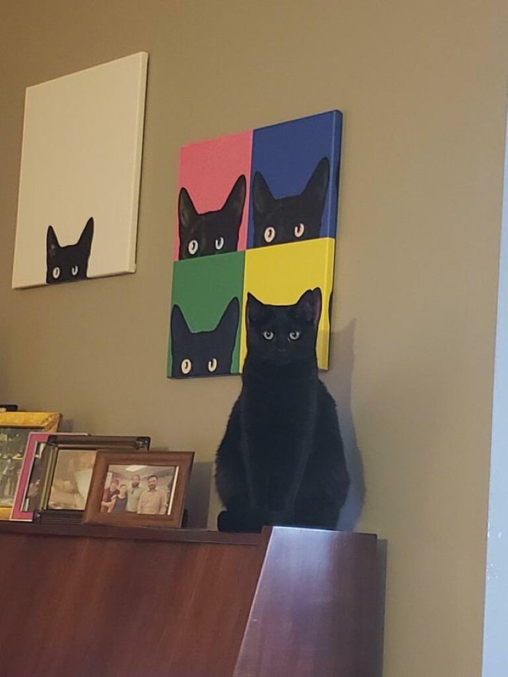 Camouflage Pictures cat painting