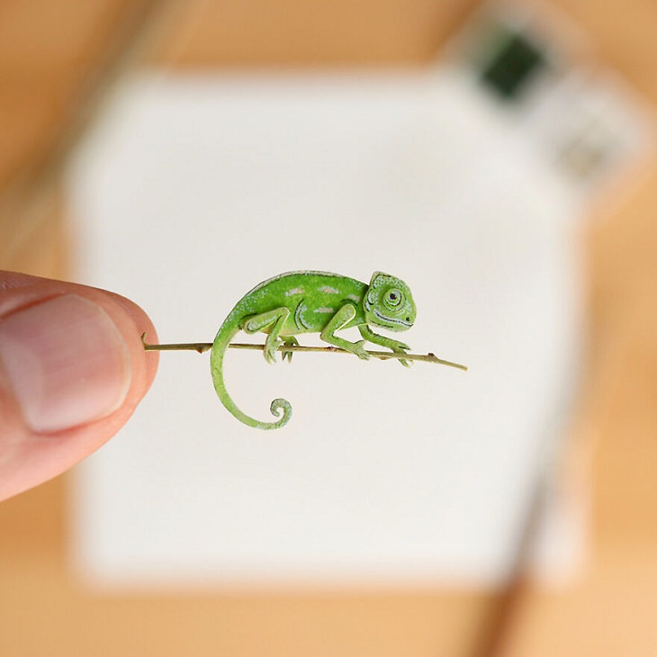 Paper Cutting Illustrations of Wild Animals, Chameleon