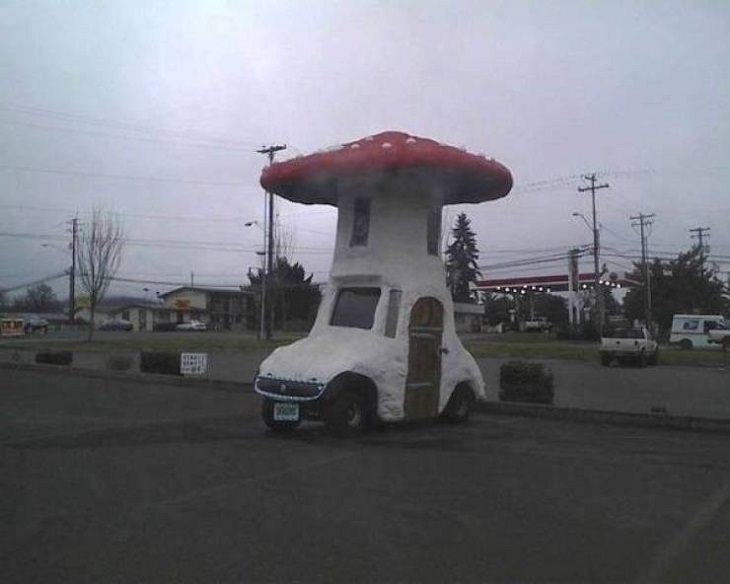 Weird Cars, mushroom