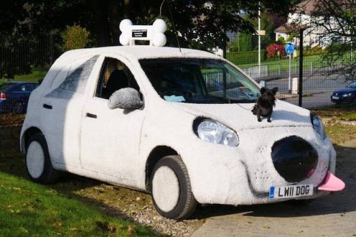 Weird Cars, dog