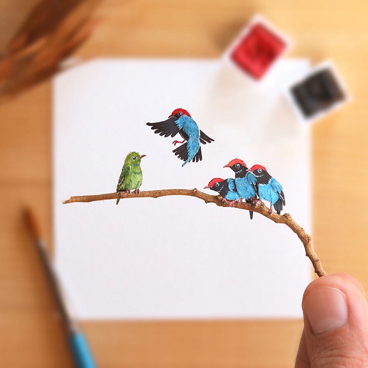 Paper Cutting Illustrations of Wild Animals, Blue Manakin