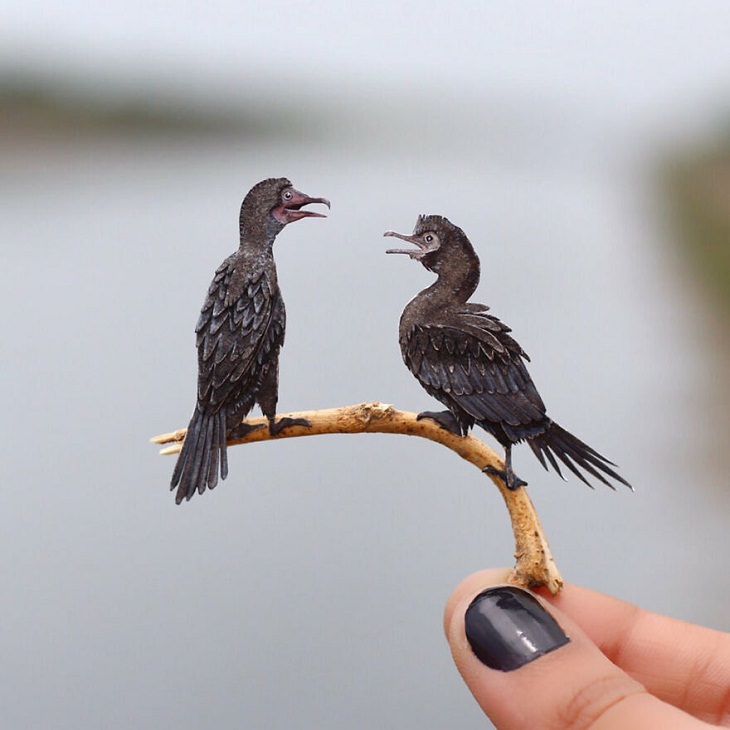 Paper Cutting Illustrations of Wild Animals, Black Cormorant