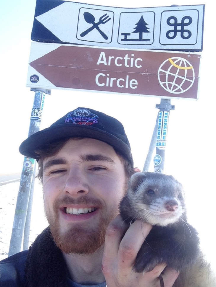 Cute Ferret Pictures, traveling 