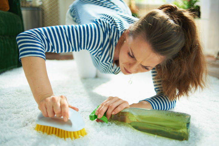 Remove Salt Stains woman cleaning carpet