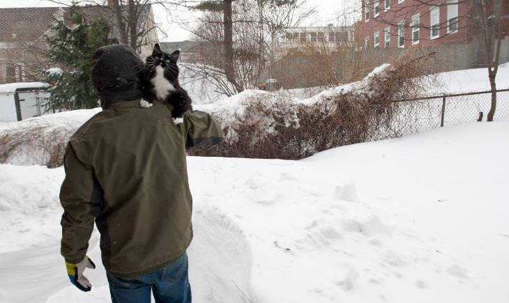 man seen from the back carrying a cat in the snow