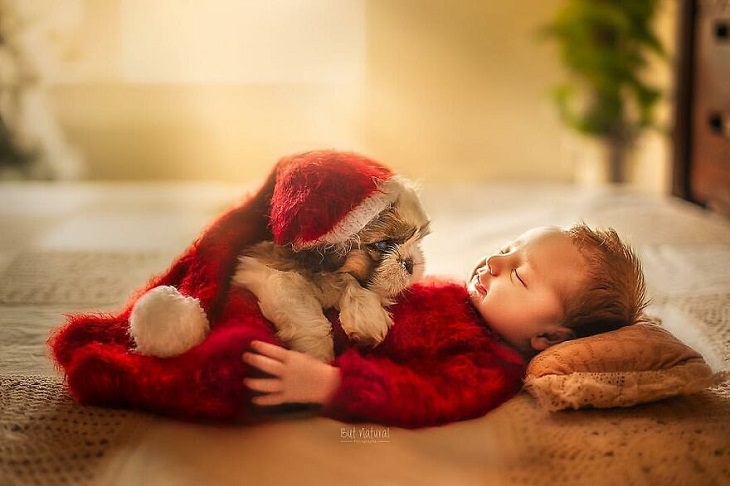 Photos of Children and Animals, Santa , baby