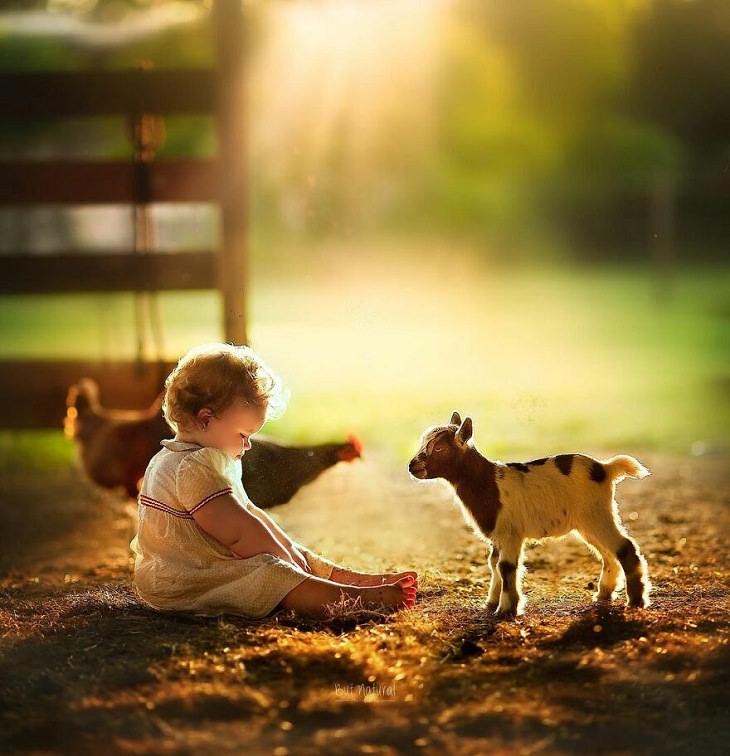 Photos of Children and Animals, goat