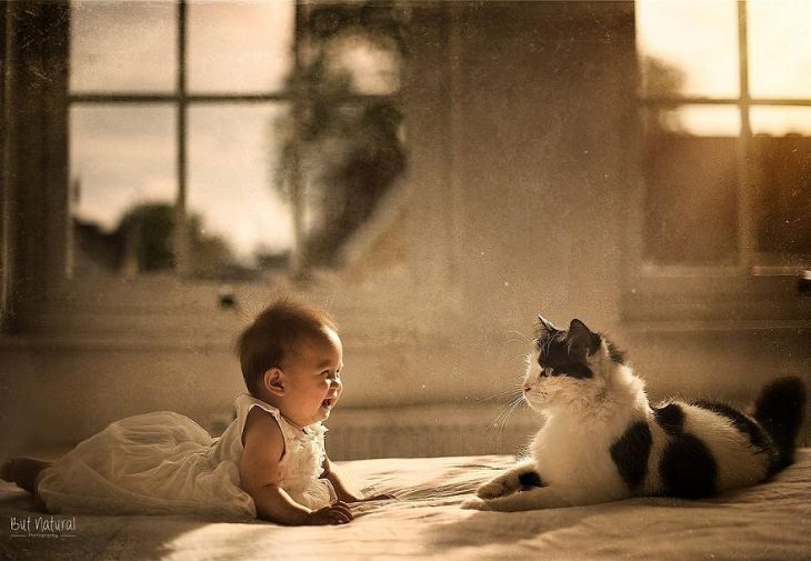 Photos of Children and Animals, cat and baby