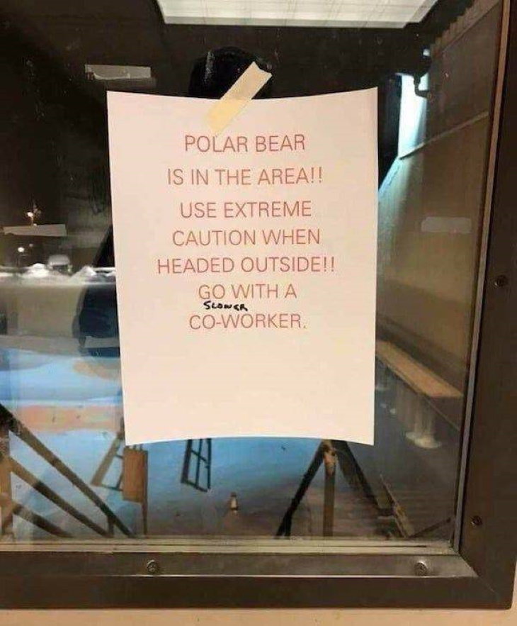 Altered Signs polar bear sign