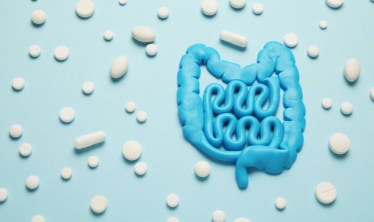 Blue soft gut model and white pills on blue background 