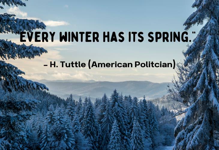 Beautiful Quotes About Winter, spring