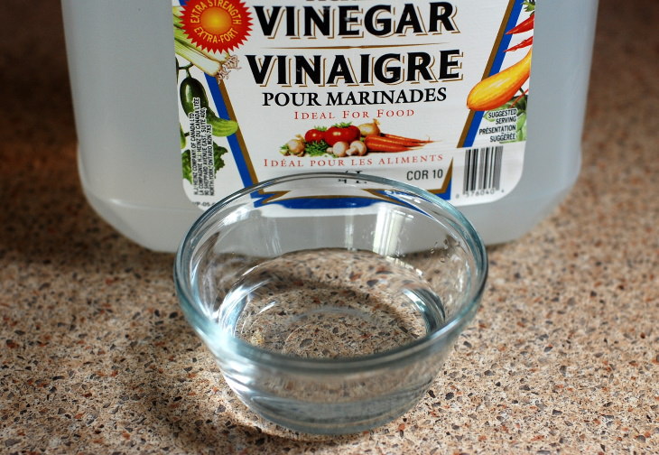 How to Clean an Iron vinegar