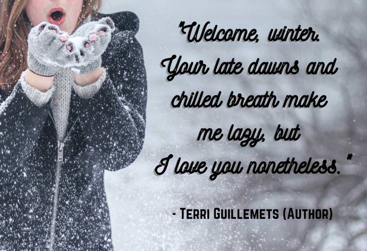 Beautiful Quotes About Winter, welcome season