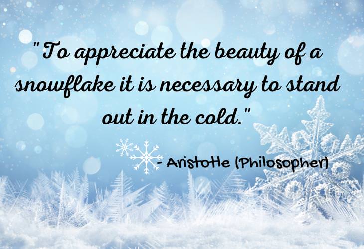 Beautiful Quotes About Winter, snowflake