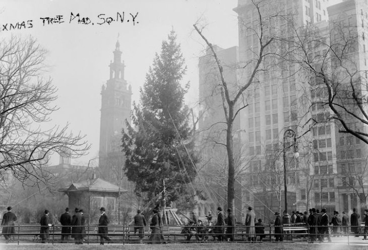 Vintage Photos of New York in Christmas First Public Christmas Tree