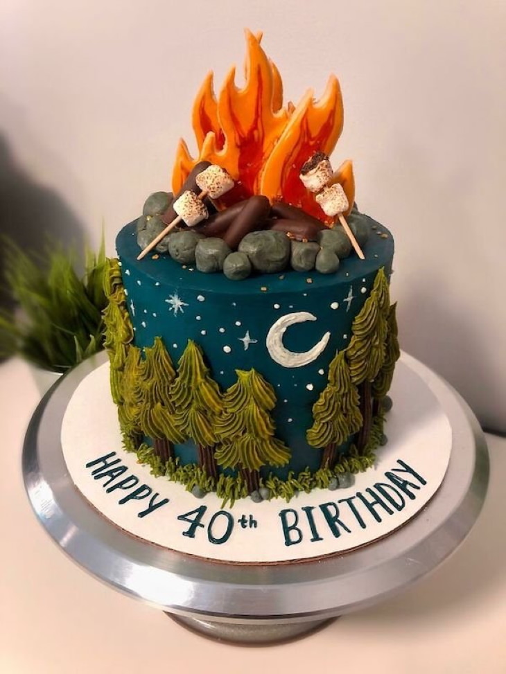 Beautiful Home Baked Cakes and Cookies campfire cake
