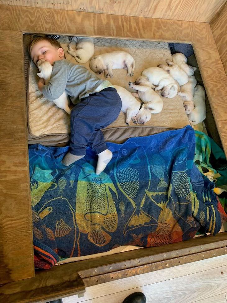 Adorable Friendships Between Kids & Their Dogs, toddler napping with puppies