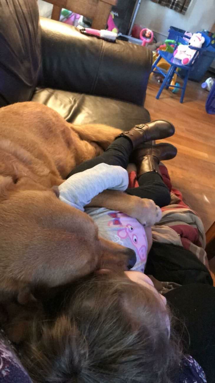 Adorable Friendships Between Kids & Their Dogs, napping
