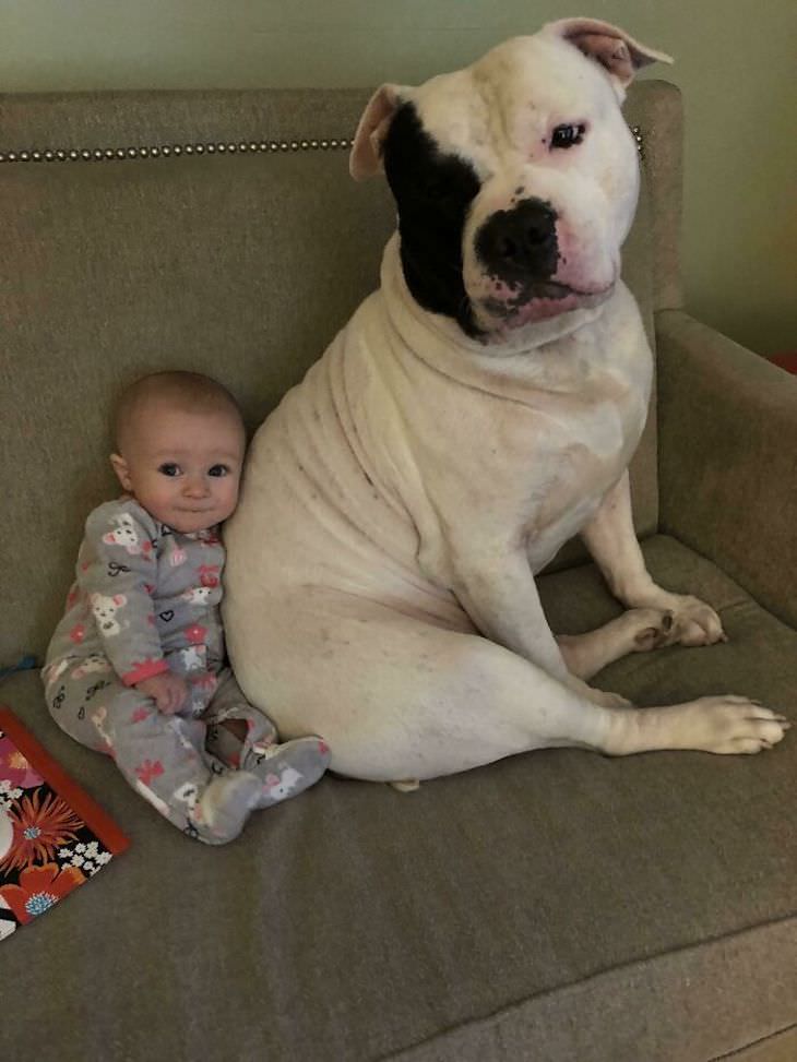 Adorable Friendships Between Kids & Their Dogs, big dog and baby on the couch