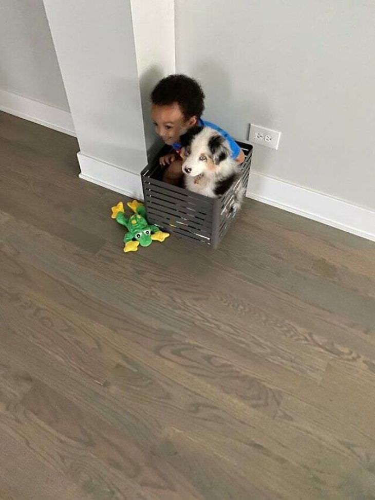 Adorable Friendships Between Kids & Their Dogs, boy and dog sitting in a box
