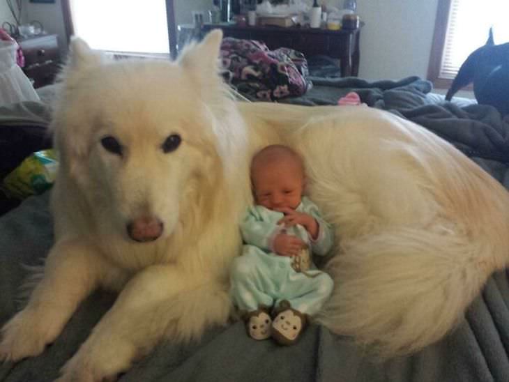 Adorable Friendships Between Kids & Their Dogs, big dog and baby