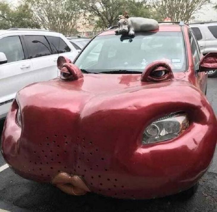 Weird Cars, animal 