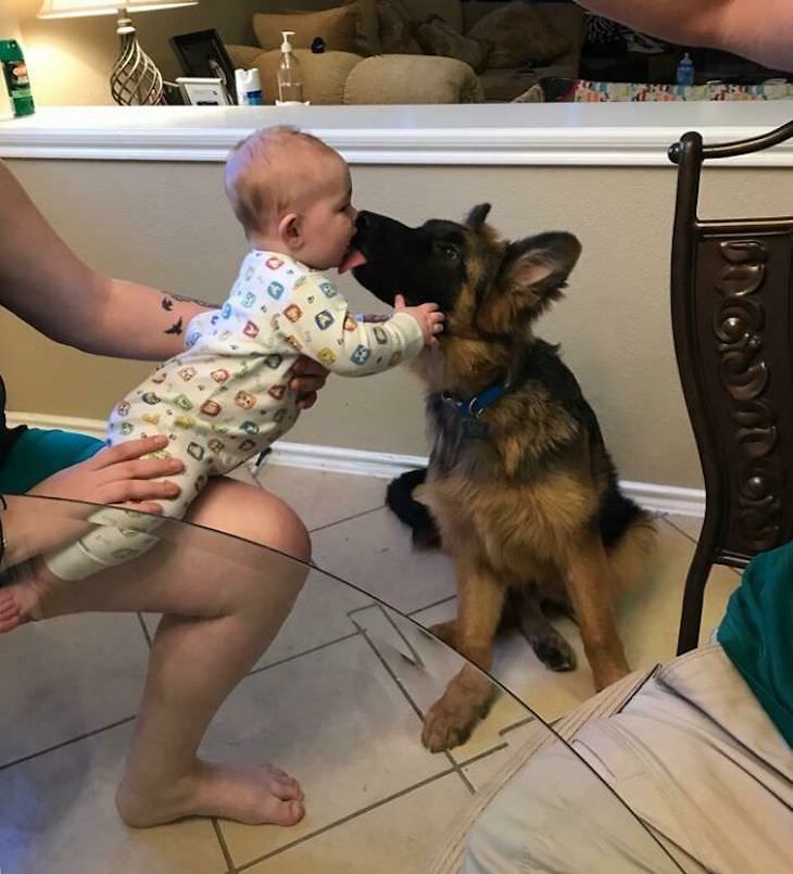 Adorable Friendships Between Kids & Their Dogs, dog greeting baby
