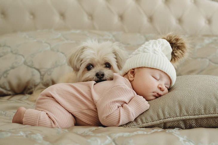 Adorable Friendships Between Kids & Their Dogs, sleeping baby