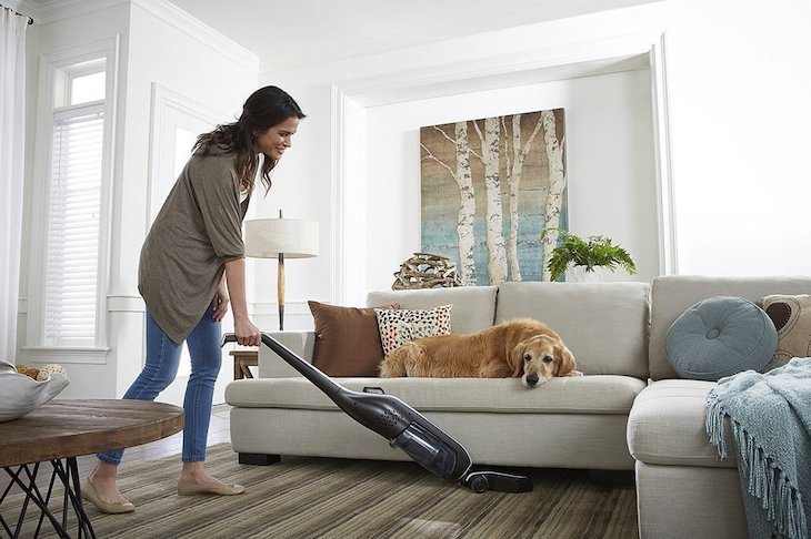 How to Eliminate Your Dog’s Fear of the Vacuum, woman cleaning with dog in the room