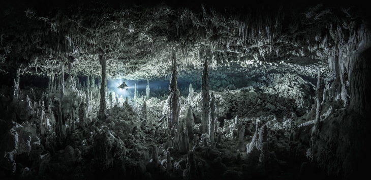 2021 Underwater Photographer of the Year "Gothic Chamber" by Martin Broen