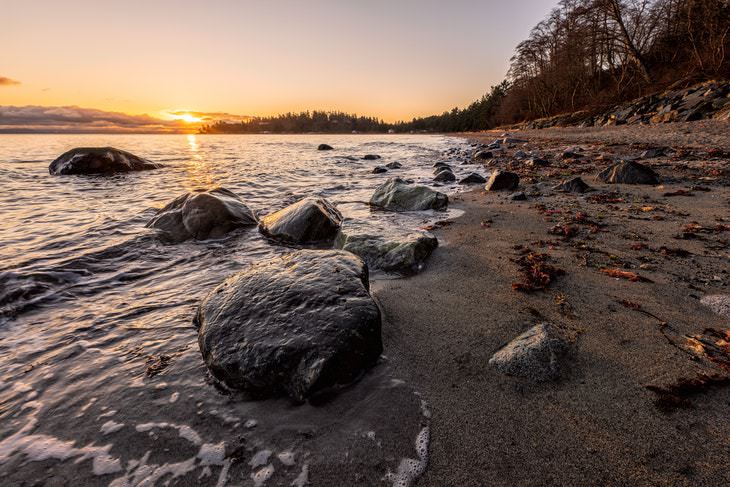 Good News 2020-2021 Upper Columbia River