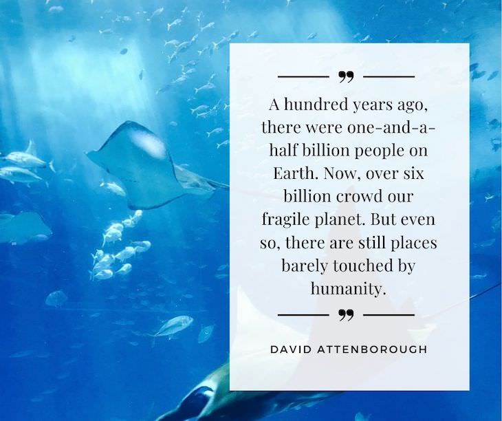 11 Inspiring Quotes On the Love of Nature A hundred years ago, there were one-and-a-half billion people on Earth. Now, over six billion crowd our fragile planet. But even so, there are still places barely touched by humanity.