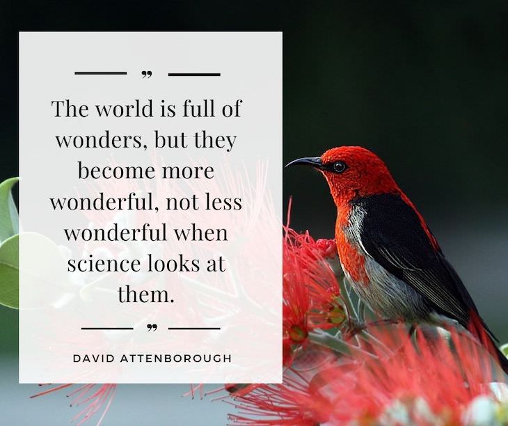 11 Inspiring Quotes On the Love of Nature The world is full of wonders, but they become more wonderful, not less wonderful when science looks at them